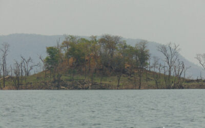 ISLAND ON BLACK VOLTA